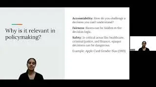 Black Box Problem in AI Policy | Explained