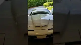 Hawks Motorsports LS swapped 1989 Formula 350. 700RWHP with Magnuson 2300