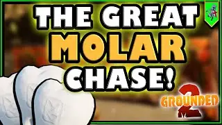 More MOLARS and CARDS - Grounded 2 - NEW START! - TOXIC TANGLE UPDATE