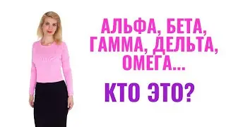 Альфа, Бета, Гамма, Дельта, Омега, Сигма. Кто это? Теория социальной иерархии