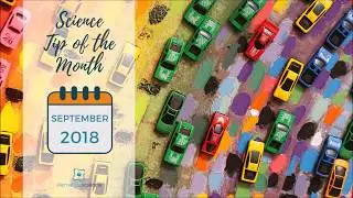 Science and Art go together like PB & J . . . sort of . . . {Homeschool Science Tip of the Month}