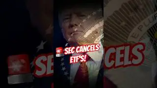 SEC Delays ETF Decision: What's Next?