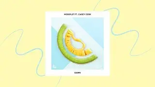 Midsplit - Dawn (ft. Casey Cook) (Strange Fruits Release | Official Lyric Video)