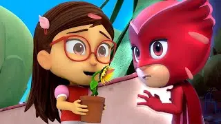 Pyjamasques Fran&ccedil;ais | Bibou et la Mauvaise Graine | &Eacute;pisodes Complets | Dessin Anim&eacute;