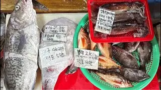 #모둠회 #뽈락구이용# 반건조뽈락 #아귀 #오징어회 #생물오징어 #대구