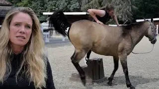 Pferd weiss wie man sich Reiter fern hält - Aufsteigen unmöglich | Dominante Stute im Check