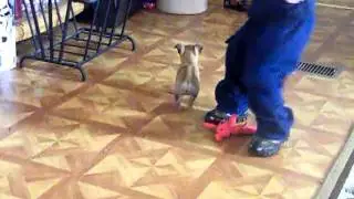 Luke Plays with Peanut