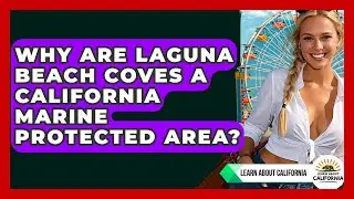 Why Are Laguna Beach Coves A California Marine Protected Area? - Learn About California