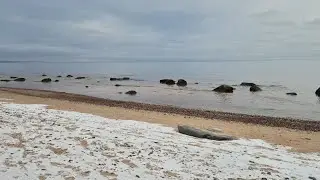LIVE: Snowy Winter Ocean ❄️ 12 Hours Cold Beach Waves for Sleep | USA (4K)
