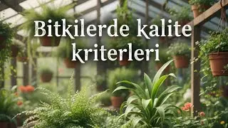 @botanikonline -Bitkilerde kalite kriterleri