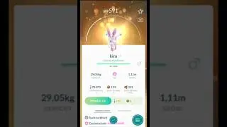 Evoli zu Feelinara entwickeln trick| Tipps und Tricks Guide Pokemon Go #shorts 2022 #60