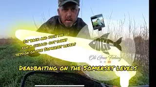 Deadbaiting the somerset levels| i set the hook