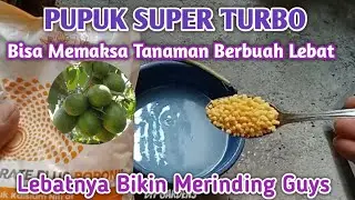 Pupuk Super Turbo Bisa Memaksa Tanaman Berbuah Lebat 
