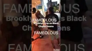 Brooklyn Crips VS Blac Chyna Goons | Siccness.net