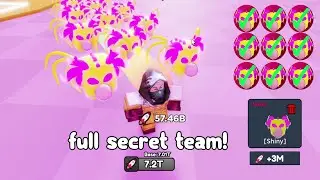 Got full Team of Shiny Secrets (🚀Fly Race)