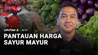 Pantauan Harga Sayur Mayur | Liputan 6