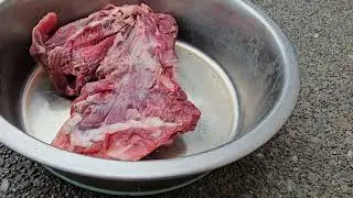 Half a Deer Leg: Raw Feeding for Cane Corso