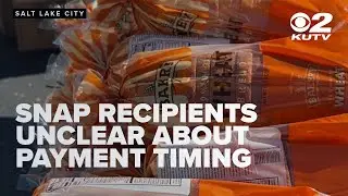 SNAP recipients unclear about timing of payments from temporary state funds