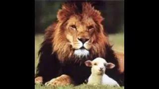 BIBLE STUDY 2026 GOSPEL OF JOHN SERIES CHAPTER 10: THE SHEPHERD OF THE SHEEP
