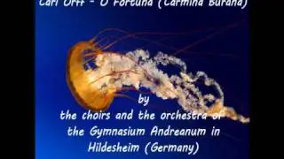 Carf Orff - O fortuna (Carmina burana) - Summer concert 2010 Gymnasium Andreanum Hildesheim