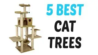 Best Cat Trees 2018 - Cat Tree Reviews