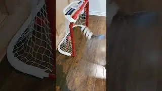 Recreating NHL goals