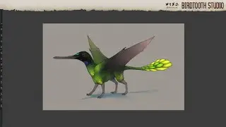 Avian Smaugust: Glittering Starfrontlet [Timelapse]