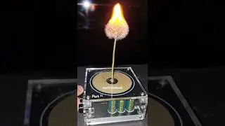 Flower 😍 Music Tesla Coil #shorts