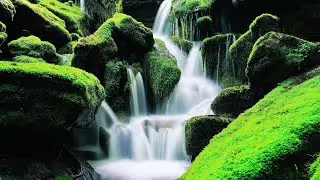 Relaxing Music 24/8, Sleep Music, Stress Relief Music, Spa, Meditation,  Zen, relaxaing seen