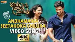 Andhamaina Seetakoka Chiluka Full Video Song | Bellamkonda Sreenivas | Rakul Preet | DSP