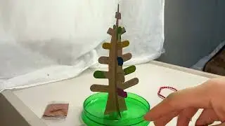 Growing a Mini Crystal Tree 🌈✨ Cozy  #diy  #asmr 