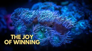 BEAUTIFUL MEDITATION AND CALM MUSIC || SCRIPTURE READING