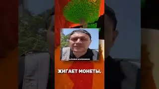 Хомяк на миллион! Обзор Hamster Combat - самой хайповой крипто-игры 2024 года!