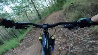 Noosa trail blazer full run 