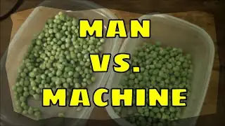 Shelling Peas By Hand Versus Sheller
