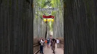 Expectations VS Reality - Japan Kyoto Arashiyama Bamboo Forest | 京都 #shorts #solotravel