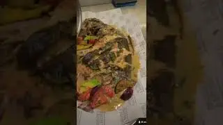 Тюрбо