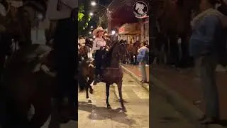 The rhythmic dance of a Colombian queen and her steed...