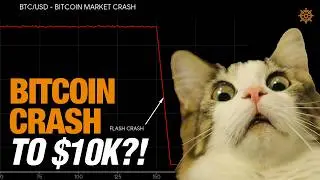 Massive Bitcoin DUMP Incoming?! | Bitcoin Banter