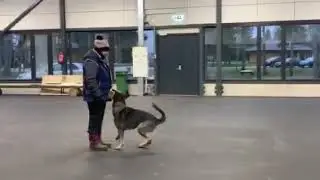 Unerschrocken Henki 12 month (аппорт)