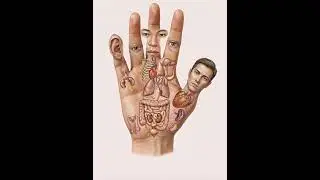 Your Body Is Hidden in Your Hand? ✋🧠#reflexology #humanbody