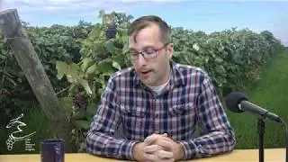 Petiole and Soil Sampling That Makes Sense for Your Farm - LERGP Podcast #135