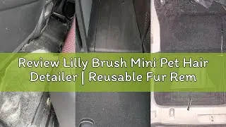 Review Lilly Brush Mini Pet Hair Detailer | Reusable Fur Remover for Car Interior, Carpet, Couch & F