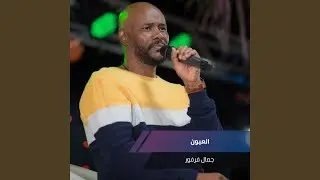 العيون