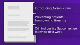 State lawmakers seek gun sale ban for recently treated mental health patients