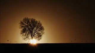 IN THE LONELY NIGHT (REMEMBERING) - uke and synth collab with del griffiths