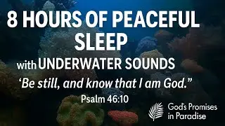 8 Hours of Peaceful Undersea Sounds | Deep Sleep | Christian Ocean Ambience & Bible Verse Meditation