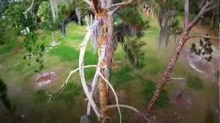 High Quality Quadcopter video GoPro2 HD at the park