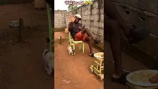 Funny Vibes 🤣🤣 #funny #comedy #shortsfeed #youtubefeed #fun #youtubeshorts #waitforend #funnyvibes