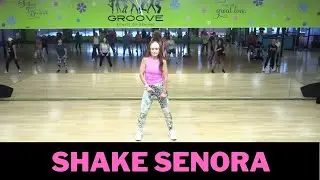 Shake Senora Remix - Pitbull